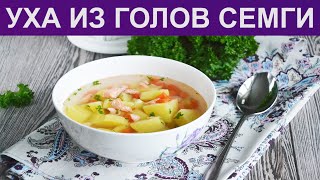 КАК СВАРИТЬ УХУ ИЗ ГОЛОВ СЕМГИ? Рыбный суп из головы семги / Уха из головы красной рыбы КАК СВАРИТЬ УХУ ИЗ ГОЛОВ СЕМГИ? Рыбный суп из головы семги / Уха из головы красной рыбы