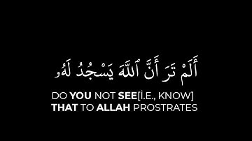 أَلَمْ تَرَ أَنَّ ٱللَّهَ يَسْجُدُ لَهُۥ✓| سورة الحج ايه ﴿١٨﴾ كرومات قرانيه🤎🥰 #quran #قرآن #كرومات