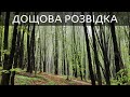 Коп 2019 в Україні. Дощова розвідка лісу / Коп по войне в Украине в лесу