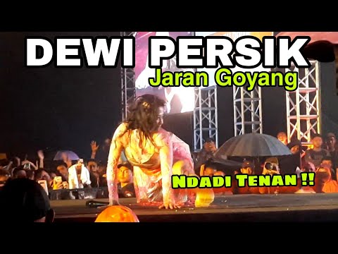 Dewi Persik Tampil Berani Goyang Warga Jogja Bersama OM SERA di acara Ganjar Pranowo Fest #6