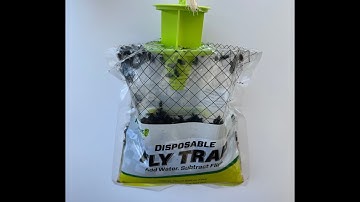 Product Review:  Rescue! Disposable Fly Trap - Best Fly Trap Ever?!