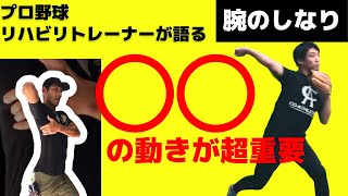 「腕のしなり」は肘で出すな！プロ野球トレーナーが教える正しい腕のしなりと加速のさせ方