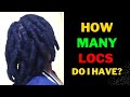 COUNTING MY THICK DREADLOCKS 2020 | HOW MANY LOCKS DO I HAVE?