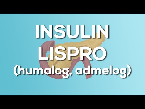 Insulin Lispro (Humalog / Admelog) Nursing Drug Card (Simplified) - Pharmacology