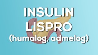 Insulin Lispro (Humalog / Admelog) Nursing Drug Card (Simplified) - Pharmacology