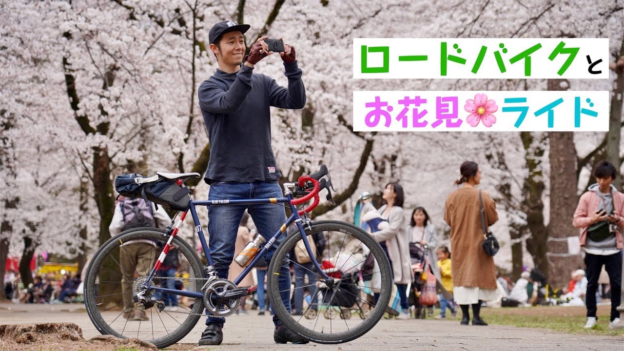 Enjoy a cherry blossom viewing ride with a hot sandwich and