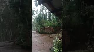 Mikka Waenga Chingode