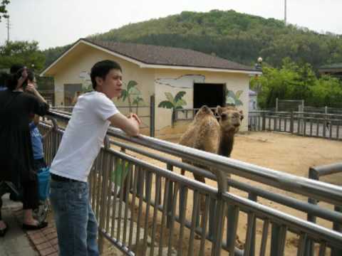 Cau Chuyen Dau Nam - Dam Vinh Hung