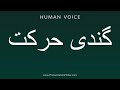 How To Pronounce گندی حرکت