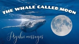 Kalawalla Fern and Marshmallow Root Tea Reading Psychic Messages from the Whale Called Moon