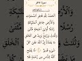 سورة فاطر سورة فاطر