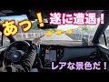スバル アウトバックウィルダネスでレア景色に遭遇!日本ではなかなか見れない光景です!SUBARU OUTBACK Wilderness