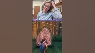 Nordic Historian REACTS to Valheim