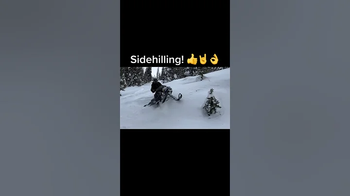 Snowmobil sidehilling👍 #shorts #skidoo #polaris #snowmobile #turbo #backcountry #boondocking￼