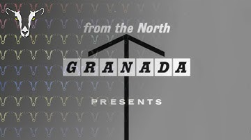 [MOCK] Synfig Animated Noise Gradient Experiment