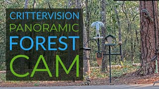 CritterVision Forest Cam