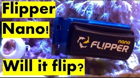 Nano Flipper Algae Scraper Review. Will it flip?