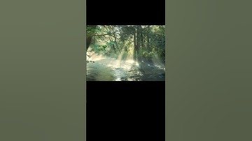 #سورة_الإخلاص #ikhlas #egzonibrahimi #beautifulworld #alhamdulillah #nature #naturesvoice #love