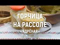 Горчица на рассоле «Ядреная» — домашняя горчица от аромата которой перехватывает дыхание