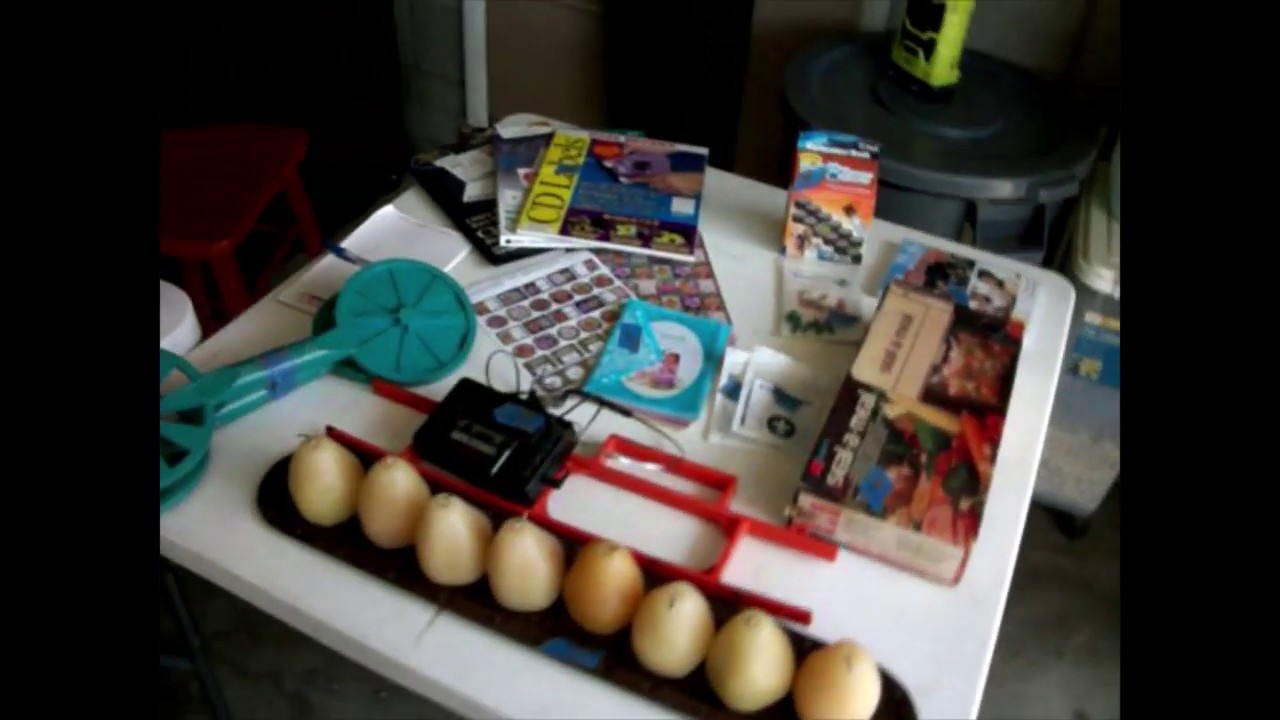 Yard Sale 2020 YouTube