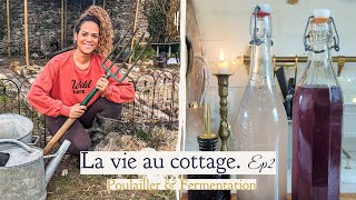 Poulailler et fermentation (Kombucha et Koso)  - La vie au cottage #2