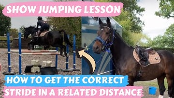 HOW TO GET THE CORRECT STRIDING IN A RELATED DISTANCE / SHOW JUMPING LESSON VOICEOVER
