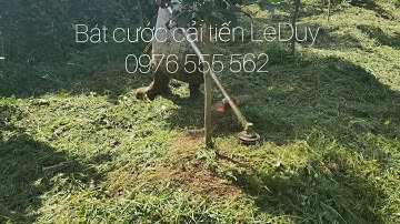 Cải tiến lại bát cước bạn sẽ không phải bận tâm tới việc đứt cước nữa