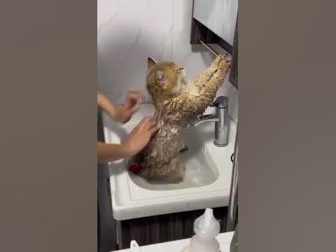 водные процедуры вам в ленту 🛀🏻 - YouTube