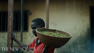 GrasshopperCatching, a Ugandan Hustle | The New Yorker Documentary