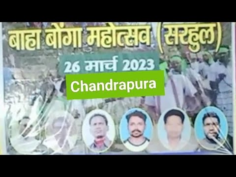 Chandrapura Bokaro Sarhul Puja HD Video  2023  Santhali HD World  Baha Bonga MahotsavSarhul