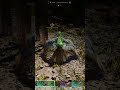 Why Did The Yuty Do That #arksurvivalascended #gamer #arksurvivalevolved #gaming #gameplay #dinosaur