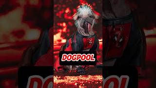 🐶¿Quien es DOGPOOL? || #marvel #deadpool