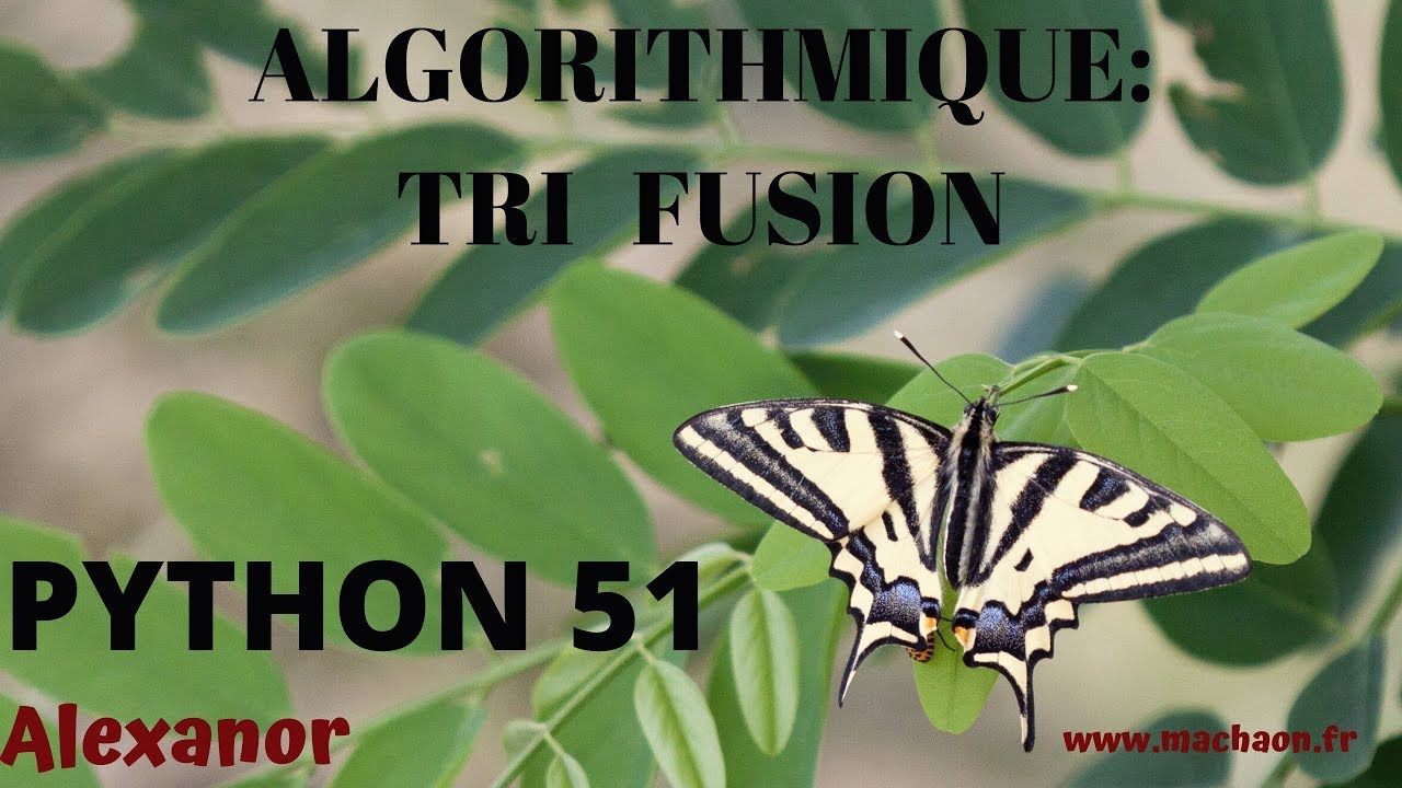 Programmation Python #51 - algorithmique : tri fusion ( récursivité et ...
