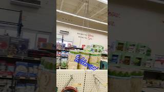 Grocery Outlet // Summer Wind Chime's N More (Walk-through) #Sav💲