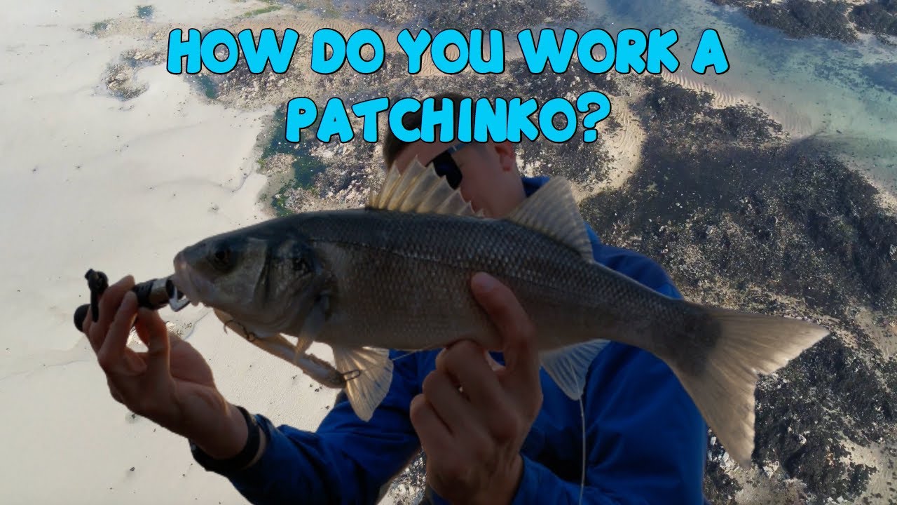 USING & WORKING A PATCHINKO LURE FISHING FOR BASS BASS FISHING IN