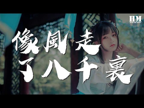 王勝娚 - 像風走了八千里『就喜歡你，不理朝夕』【動態歌詞Lyrics】