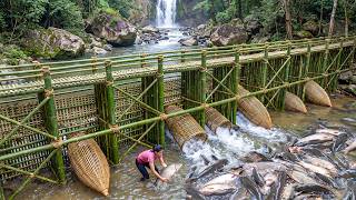 Young Beautiful Woman Uses Her Skills to Catch Tons of Fish from the River to The Market Sell
