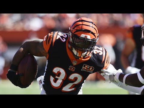 Jeremy Hill Released After 2 Days With Las Vegas Raiders Wasn’t A Numbers Game - That’s A Cover