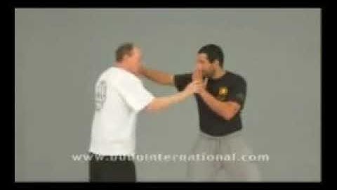 Jeet Kune Do - Techniques de base, parade et combat (tim tackett basic techniques trapping sparring)