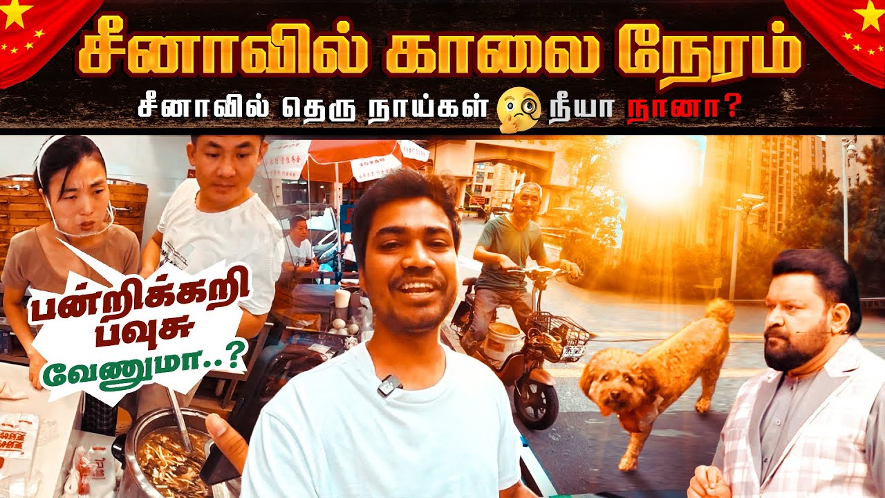 சீனாவில் morning life style China stray dogs neeya nana China morning breakfast tamiltraveler
