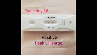 How i found my ovulation date? i-know ovulation kit | results😇 screenshot 2