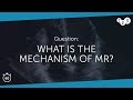 60 Seconds of Echo Teaching Question: What is the mechanism of MR?
