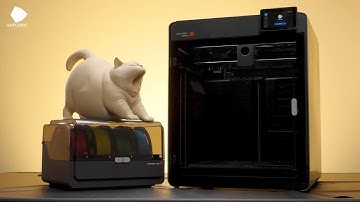 This Chubby Kitty is Here to Show Off Our Kobra S1 Max Combo!