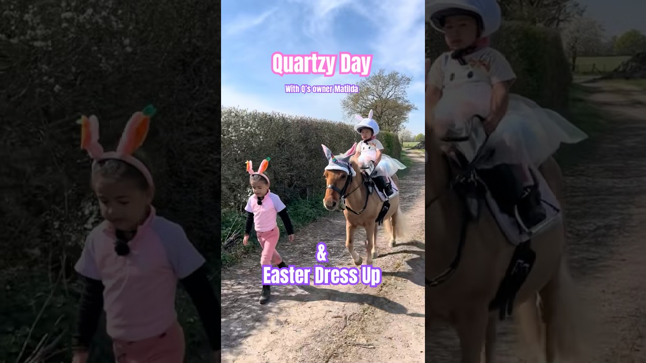 Easter Holidays 🐣🐰 