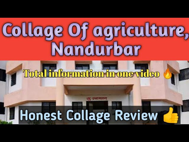 College of agriculture, Nandurbar || #allinformation || Honest college review 🔥