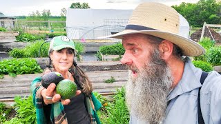 The TOXIC Avocado?!?! you won't believe it...