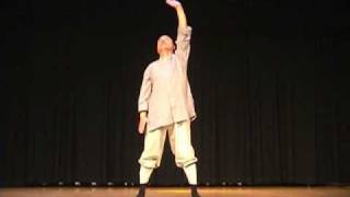 OACC - Chi Gong and Gong Fu-May 30, 2009 (Part 2)