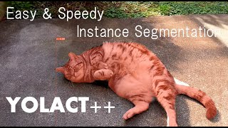 軽くて簡単なインスタンスセグメンテーション「YOLACT++」　Sample instance segmentation with YOLACT ++