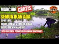 Mancing di danau situ elok cilongok banyumas 2021  spot mancing di banyumas