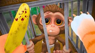 Qué Le Pasa A Boby? - I Am Monkey Vr